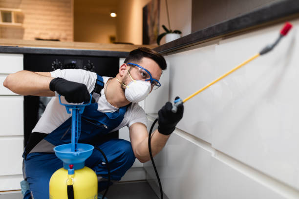 Best Pest Control Near Me  in Lockwood, MO