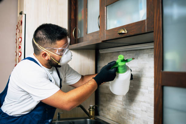 Reliable Lockwood, MO Pest Control Solutions