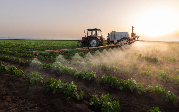 Best Pest Control for Businesses  in Lockwood, MO