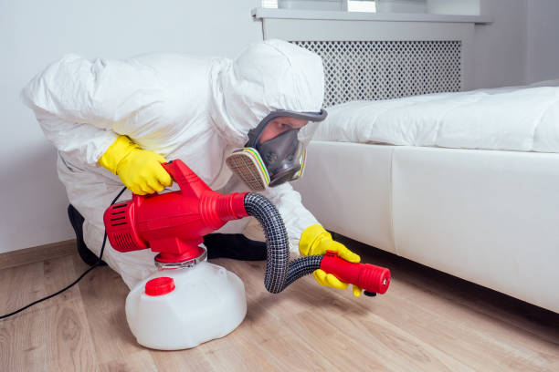 Trusted Lockwood, MO Pest Control Experts
