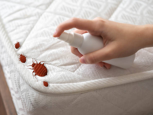 Best Best Pest Control Companies  in Lockwood, MO